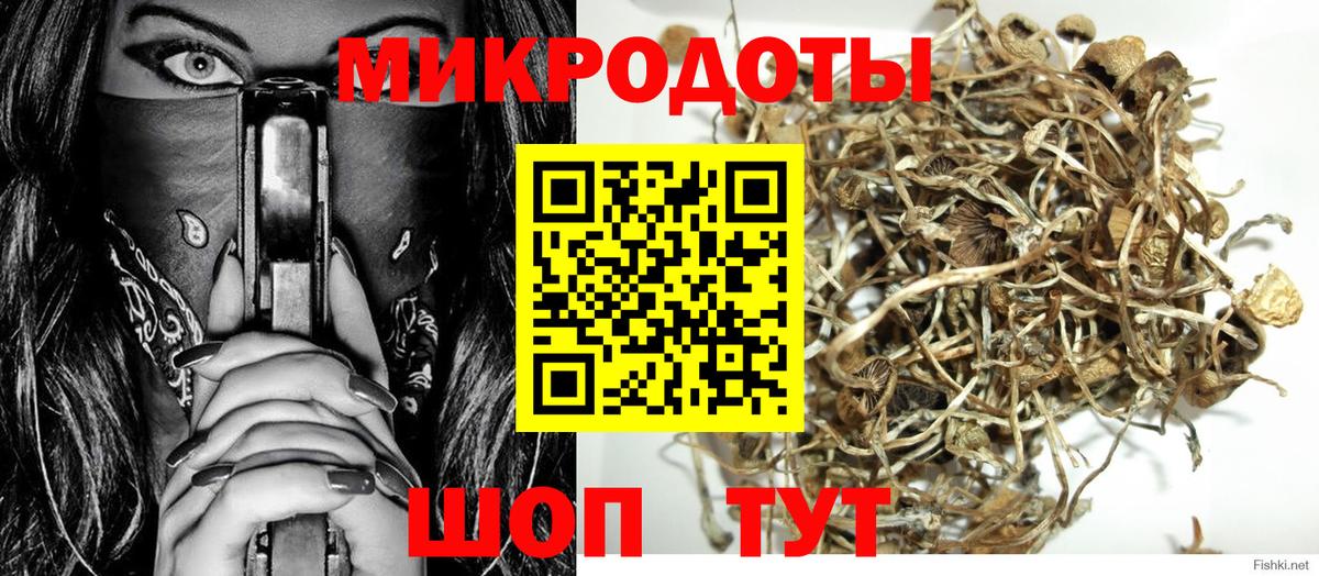 Королёв  Псилоцибиновые грибы Cubensis  Галлюциногенные грибы мицелий  Вход с VPN 