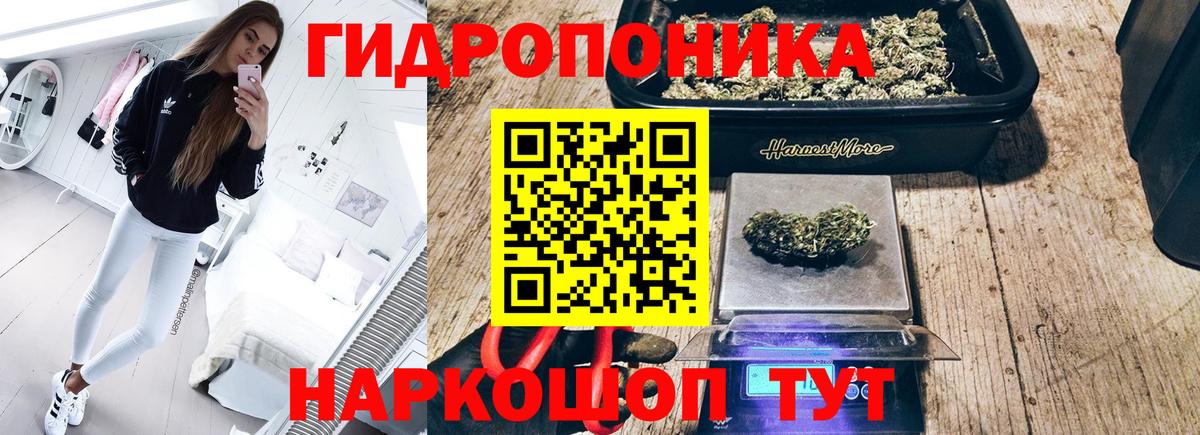 Бошки марихуана марихуана Королёв